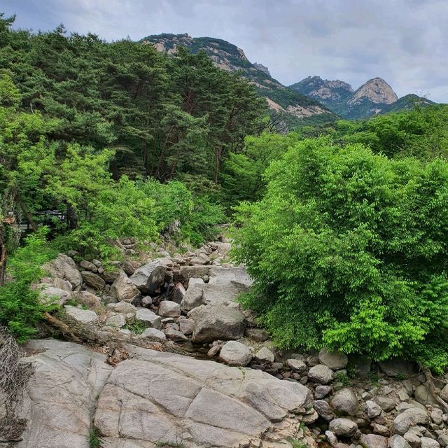 부처님 오신날은 꼭 진관사로 오세요