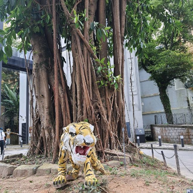 60後的集體回憶-虎豹別墅