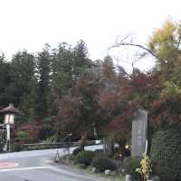 　秋の寳登山神社は綺麗です！