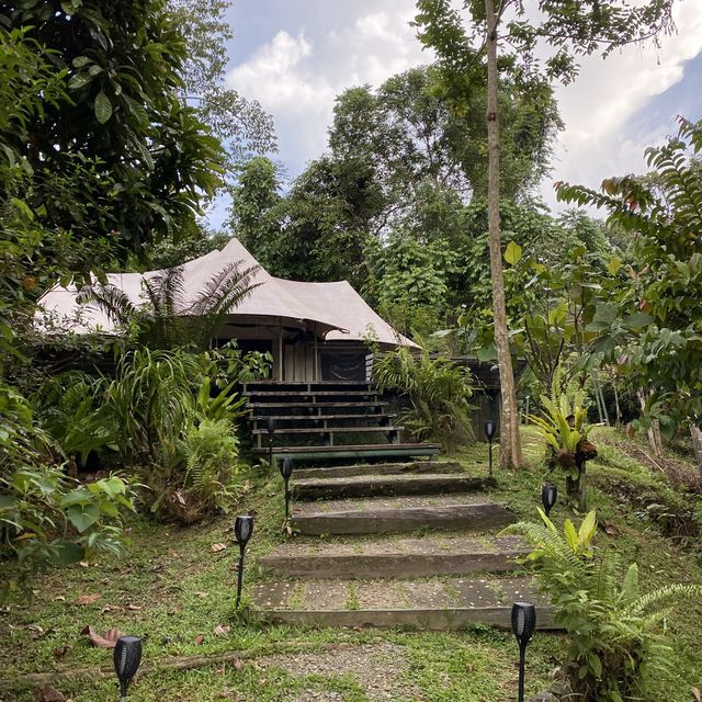 HIDDEN GEMS - SANDAKAN FOREST NATURE RESORT 