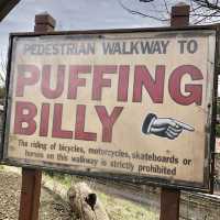 Puffing Billy Train Ride Experience