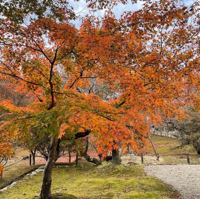 【京都府】秋の仁和寺へ