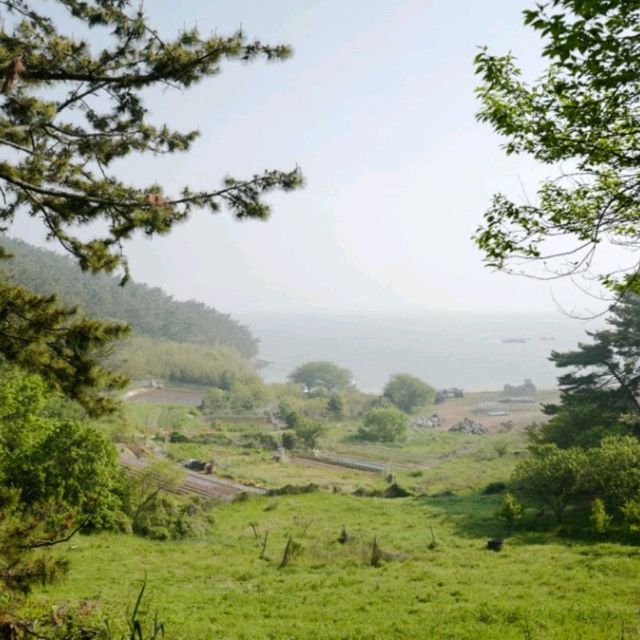 고대도 각시당, 당산 피크닉