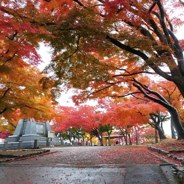 岩手県！盛岡城跡の本丸と紅葉