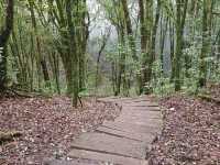 hiking in "winter" weather