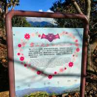 福壽山農場-雪山之丘
