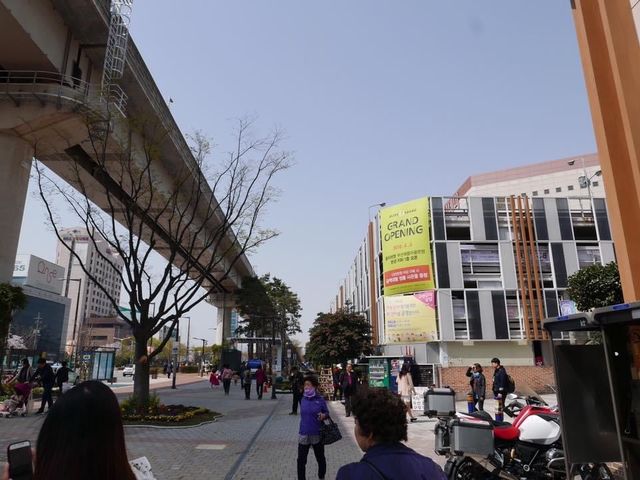 📍南韓釜山。三樂櫻花隧道 삼락생태공원 。