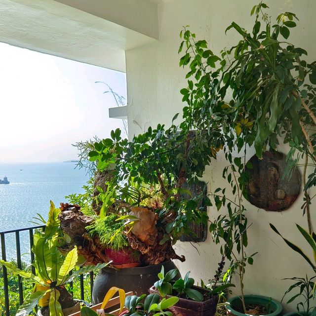 香港島薄扶林沙宣道，遠眺南太平洋！讚嘆美景！