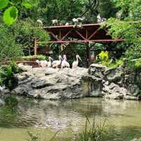 Jurong Bird Park