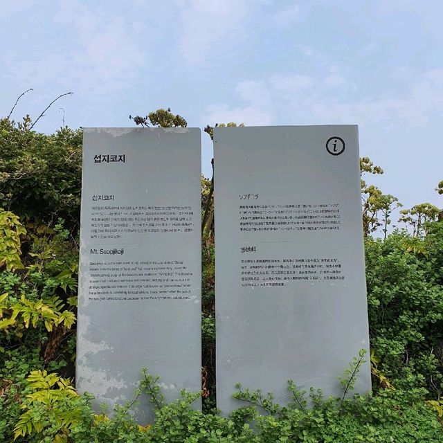 성산 여행지 추천 : 섭지코지