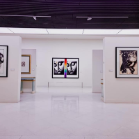 MOCA Museum of Contemporary Art
