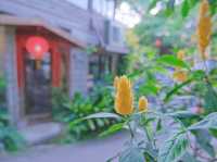 夏天來一碗彩虹粉粿冰吧！走進莫內畫中的世界，苗栗卓也小屋