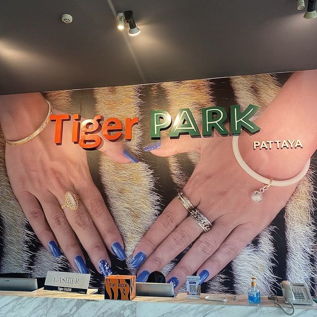 호랑이 들의 쉼터 🐯Tiger Park ! 🐅