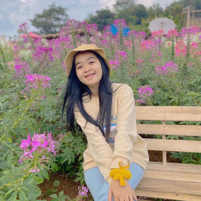 ม่อนแจ่ม เชียงใหม่