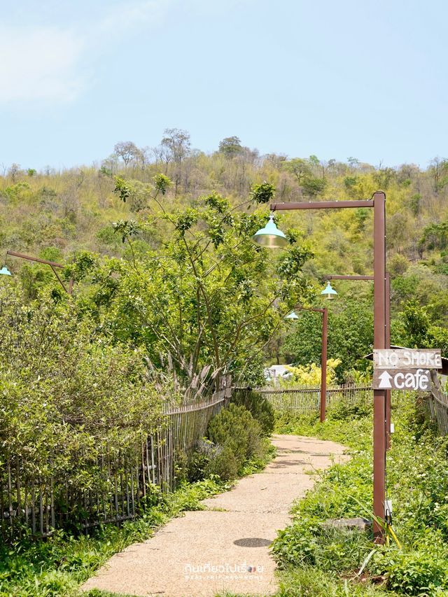 🍃🐶Mori Natural Farm ที่พัก&คาเฟ่บนภูเขาเชียงใหม่