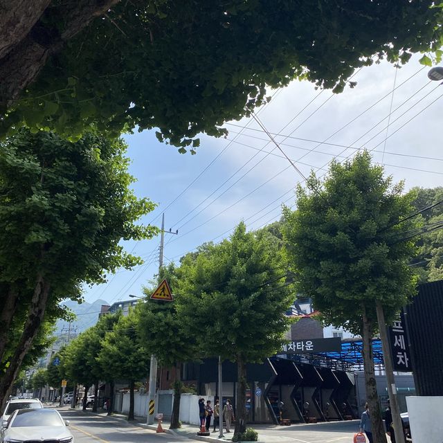 [구미 금리단길] 작은 책방 ‘책봄’