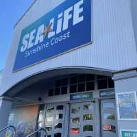 SEA LIFE 선샤인코스트 수족관 , SEA LIFE Sunshine Coast Aquarium