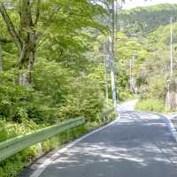 春の裏高尾・景信山登山口までの道中