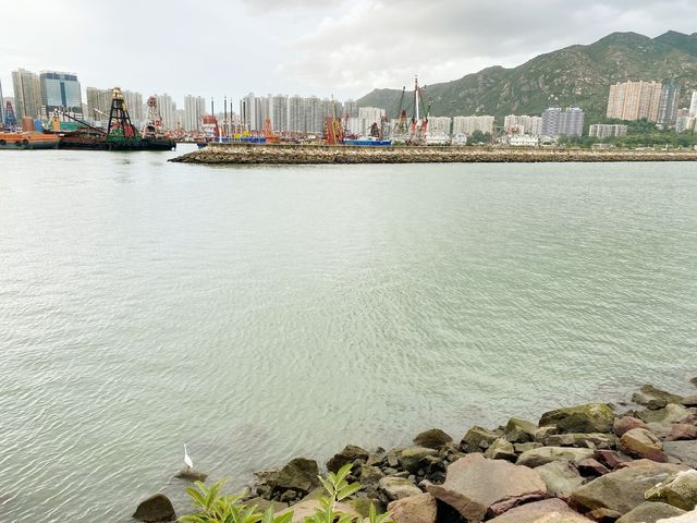 幻愛橋