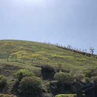 【静岡県】大室山でお鉢めぐり！