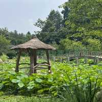 초록초록 춘천 남이섬🌿