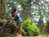 Memories of the Old Church
