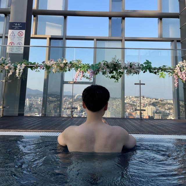 수영장 맛집 [노보텔 앰배서거 동대문] 호캉스
