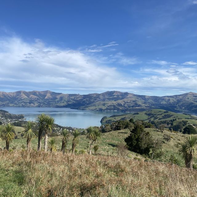 Akaroa New Zealand