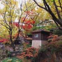 Autumn Foliage at Gilsang Temple