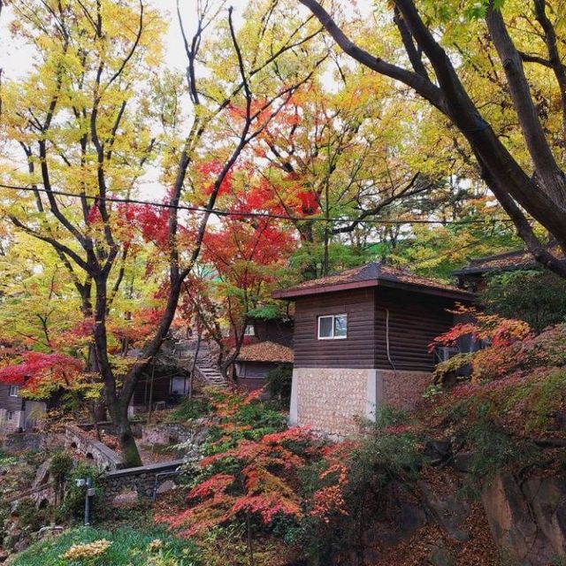 Autumn Foliage at Gilsang Temple
