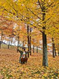 경남 거창 도시숲죽전공원, 분설담은 단풍놀이 숨겨진 명소🍂🍁