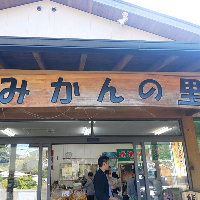 安い！うまい！いつでも買える！みかん専門店