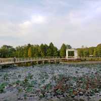 👣We we 娃嘩@Wetland 濕地公園遊🐊