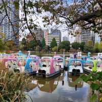 Shinobazu Pond in Ueno Park