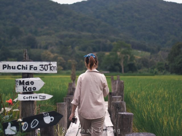 MAO KAO COFFEE 