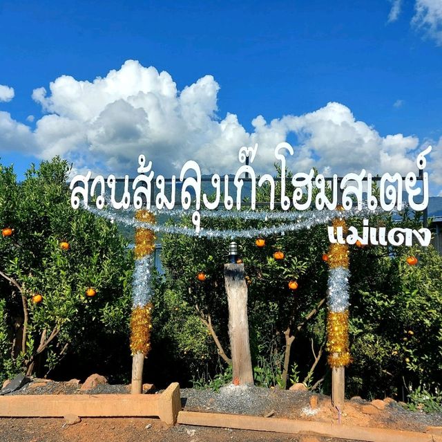 สวนส้มลุงเก๊าโฮมสเตย์
