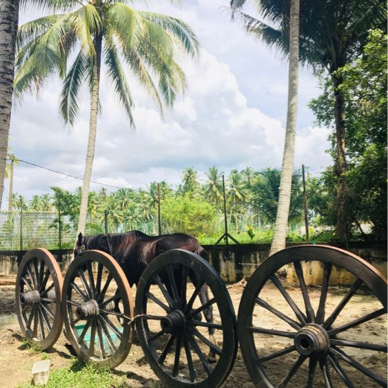 A village style for gateway and photography!