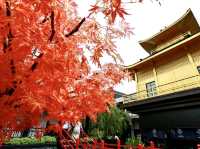 Little Osaka เมืองไทย