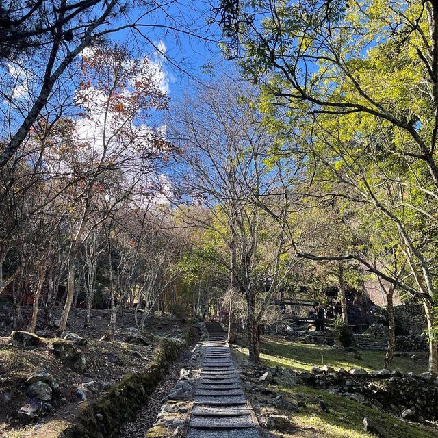 台中八仙山森林國家公園