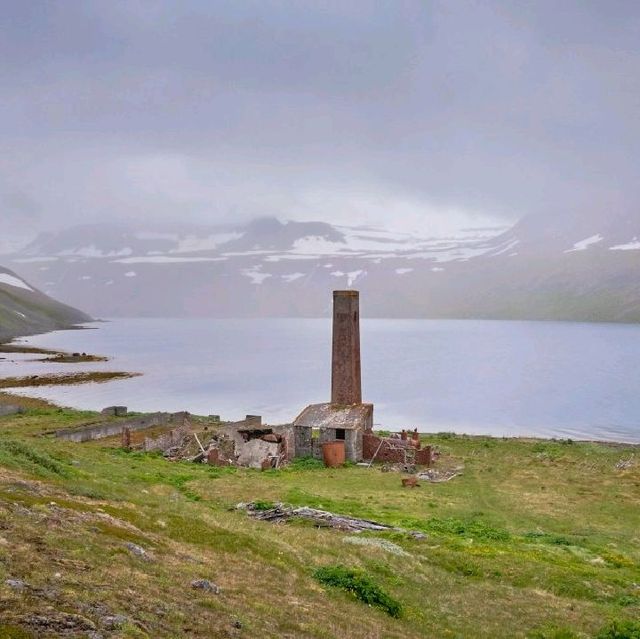 Hornstrandir Sailing Trip