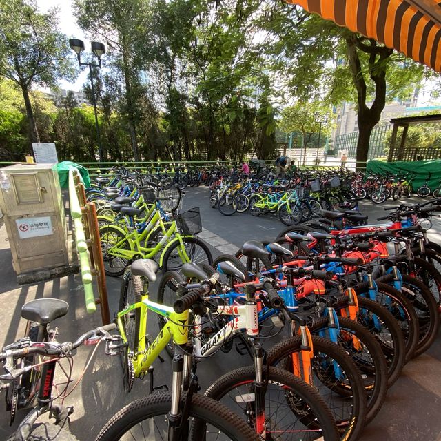 九龍市區單車場 