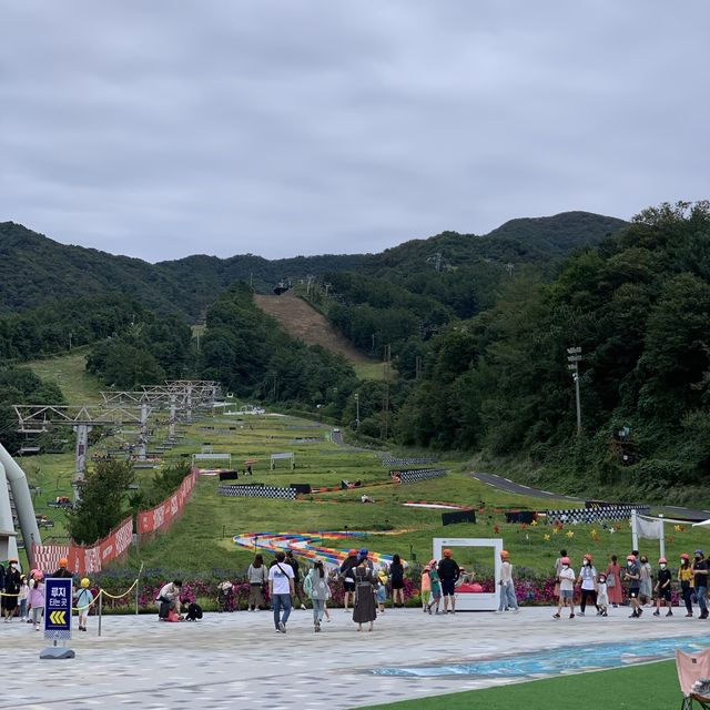 포천 액티비티 추천 :: 루지월드 베어스타운점🏎