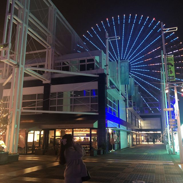 오사카 여행, 덴포잔 대관람차 🎡