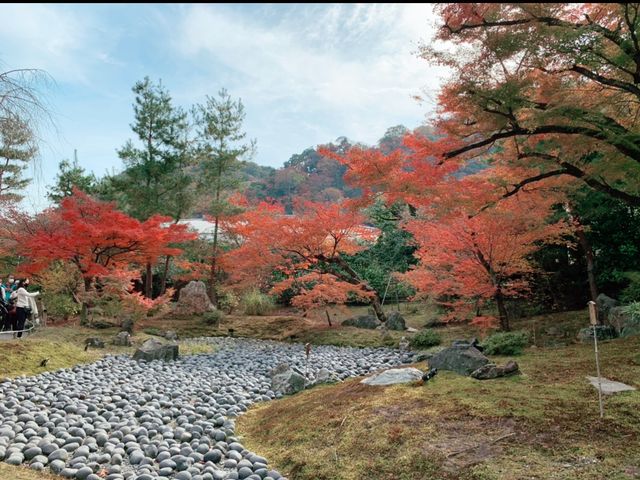 京都[紅葉めぐり]    　ー獅子吼の庭ー　宝厳院にて心を癒す