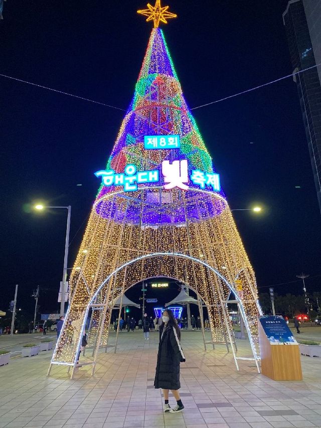 겨울 하면 떠오르는 빛축제 #1 ✨