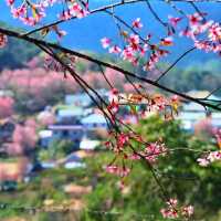 จุดชมวิววัดป่าภูหินร่องกล้า

