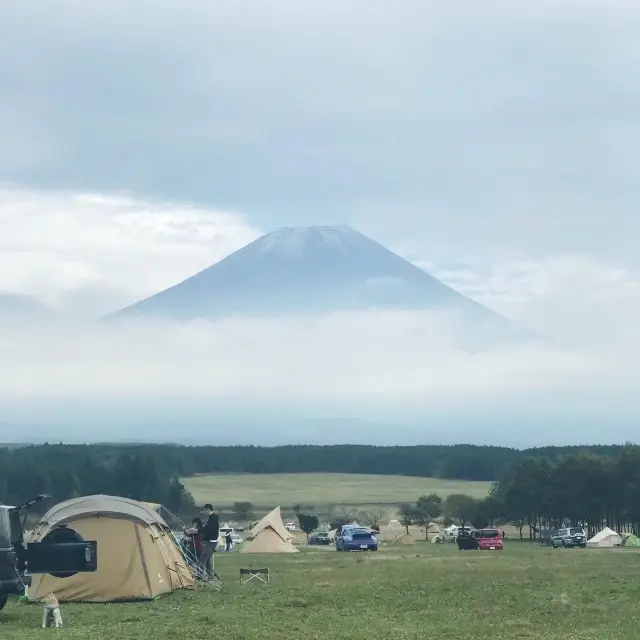 キャンプに行きましょうか