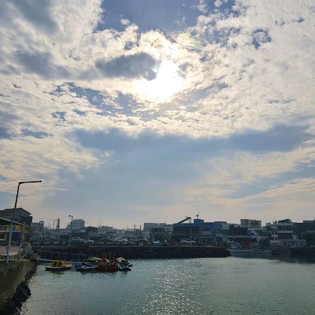 [월정리 해수욕장] 청량한 제주 바다가 펼쳐지는 곳