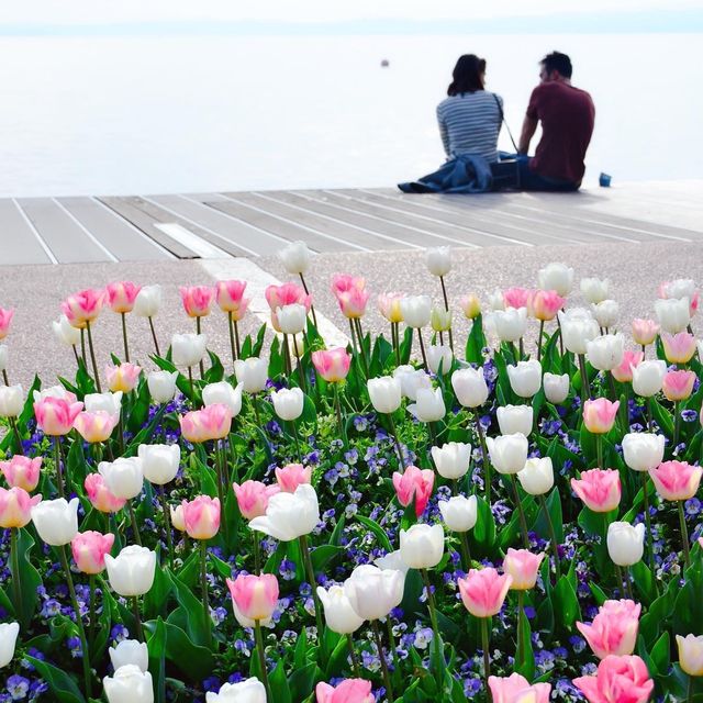 花季在湖邊 Bardolino 