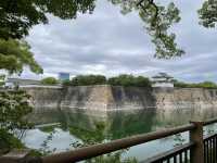 【大阪城公園】天守閣はもちろんお花見、お散歩なんでもできる